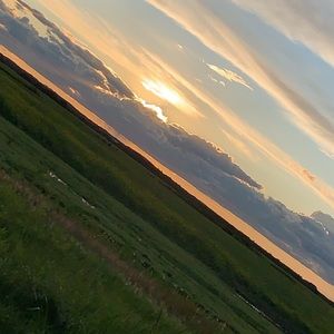 Meet your Posher, Mady